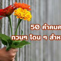 60 คำคมความรัก หวานซึ้งตรึงใจให้แฟน 2565
